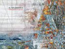 Wilderness [LP] by Explosions in the Sky (Vinyl, Apr-2016, 2 Discs, Clear Vinyl