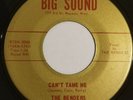 The Benders - Can't Tame Me/Got Me Down 45 rpm 7