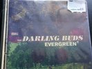 THE DARLING BUDS 