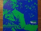 FRED McDOWELL My Home Is In The Delta LP Testament Records blues vinyl + insert