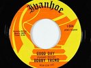 Psych Funk 45 - Bobby Trend - Good Day/Judy - Ivanhoe - VG+ mp3