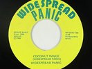 Rock 45 - Widespread Panic - Coconut Image - Widespread Panic - VG+ mp3