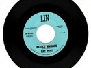 Ray Ruff 45 *Beatle Maniacs/I Took A Liking To You* LIN 5034