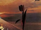 The Pretty Things : Parachute VINYL 50th Anniversary  12