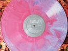 Whitney Candid Exclusive Cotton Candy Splash Colored Vinyl LP Phoebe Bridgers