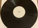 Robert Plant The Mighty Rearranger 12” Vinyl Test Pressings White Labels