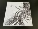 Negura Bunget - Virstele Pamintului Limited Edition Vinyl LP Box Mgla Satyricon