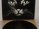 MATTHEW CASSELL Matt The Cat 1978 RARE PRIVATE SOUL MONSTER LP EX