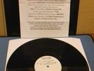 PETER ANDRE - Mysterious Girl - (Vinyl 12