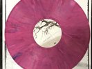 CHUCK RAGAN Feast RASPBERRY Vinyl LP No Idea Samiam Hot Water Music Gaslight Emo