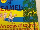 Best Of Camel An Oasis Of Sound 12” Vinyl LP Reggae Ska Pama Records