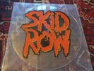 Skid row.  Uncut Test press Picture Disc. 