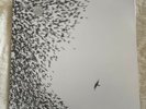 Wilco - Sky Blue Sky 2007 2xLP New & Sealed