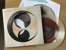 The Ocean Collective - PHANEROZOIC II: MESOZOIC / CENOZOIC VINYL