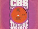 BRUCE SPRINGSTEEN    SOUTH AFRICA    45    BORN TO RUN     EX+