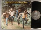 Cottonwood  Camaraderie  Folk/Country Rock; Psych