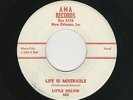 '60 New Orleans Bluesy R&B/Instro LITTLE MELVIN Life Is Miserable/Wabble M- HEAR