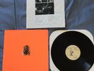 Animal Collective Hollinndagain HANDMADE LP Limited to 300 St Ives Panda Bear
