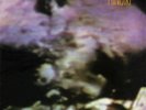 MINISTRY: THE LAND OF RAPE & HONEY (Ltd.Num.Ed.150gm Violet)(Dras.Plas.2015)