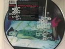 The Goo Goo Dolls - Dizzy Up The Girl (Picture Disc  LP Vinyl) - sealed