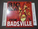 SEALED THE CRAMPS BIG BEAT FROM BADSVILLE LP VEN674