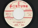 '59 FORTUNE Detroit R&B ANDRE WILLIAMS/GINO PARKS Put a Chain On It M- HEAR BOTH
