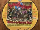 R. CRUMB THE MUSIC NEVER STOPPED ROOTS OF THE GRATEFUL DEAD PICTURE DISC SIGNED