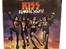 Kiss 45/PICTURE SLEEVE Flaming Youth PROMO CASABLANCA 1976