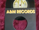Sex Pistols   God Save The Queen A&M 7