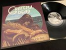 GRATEFUL DEAD 