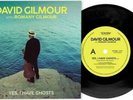David Gilmour Yes I Have Ghosts 7 Vinyl RSD limited edition only pink floyd