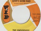 THE UNDERDOGS-LOVE'S GONE BAD-V.I.P.