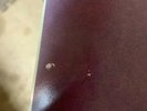 The Fragile: Deviations 1 by Nine Inch Nails (Vinyl, Nov-2017, 4 Discs,...
