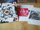 Red Hot Chili Peppers - Blood sugar ...Org.WB - Dolp - 1991