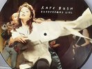 Kate Bush - Rubberband Girl extended dance mix 12