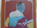 Muddy Waters - Unk in Funk - 1974 Chess LP
