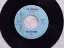 northern soul THE KITTENS I m Worried / Count Every Star CHESTNUT 203 M-