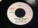 TRIAXX BAND   RARE 1979 NEW MEXICO POWERPOP/AOR 7