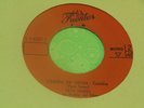 PEYO TORRES TULUA FEMALE MONSTER CUMBIA DRUMS AFRO KILLER COLOMBIA LATIN BEAT