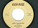 GARAGE, PSYCH, OBSCURE ROCK 45    The Counts  Rich-Rose  711