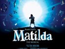 Various - Matilda the Musical (Original Broadway Cast Recording) [New Vinyl LP]
