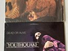 DEAD OR ALIVE - Youthquake & Sophisticate Boom Boom LP Vinyl Record Epic VG+/VG+