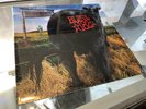 BLINK 182 ORIG *SEALED* Dude Ranch 1st press LP Vinyl GATEFOLD Grilled Cheese