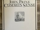John Prine - Common Sense - Folk Record LP - Atlantic SD 18127