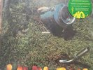 Phish Sealed Lawn Boy Deluxe LP Edition, # first Pressing Of 7,500)Jemp Records