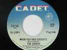 Northern Soul/Garage Fuzz 45 - Shades - When You Said Goodbye - Cadet - VG+ mp3