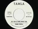 Northern Soul 45 - Tammi Terrell - All I Do - Tamla unofficial VG++ mp3