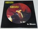 NIRVANA IN BLOOM - UK PICTURE DISC 12inch LTD EDITION GRUNGE FOO FIGHTERS