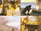 BEST COAST SOMETHING IN THE WAY [EP] NEW VINYL