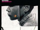 Life Without Buildings - Any Other City Vinyl LP What's Your Rupture NEU